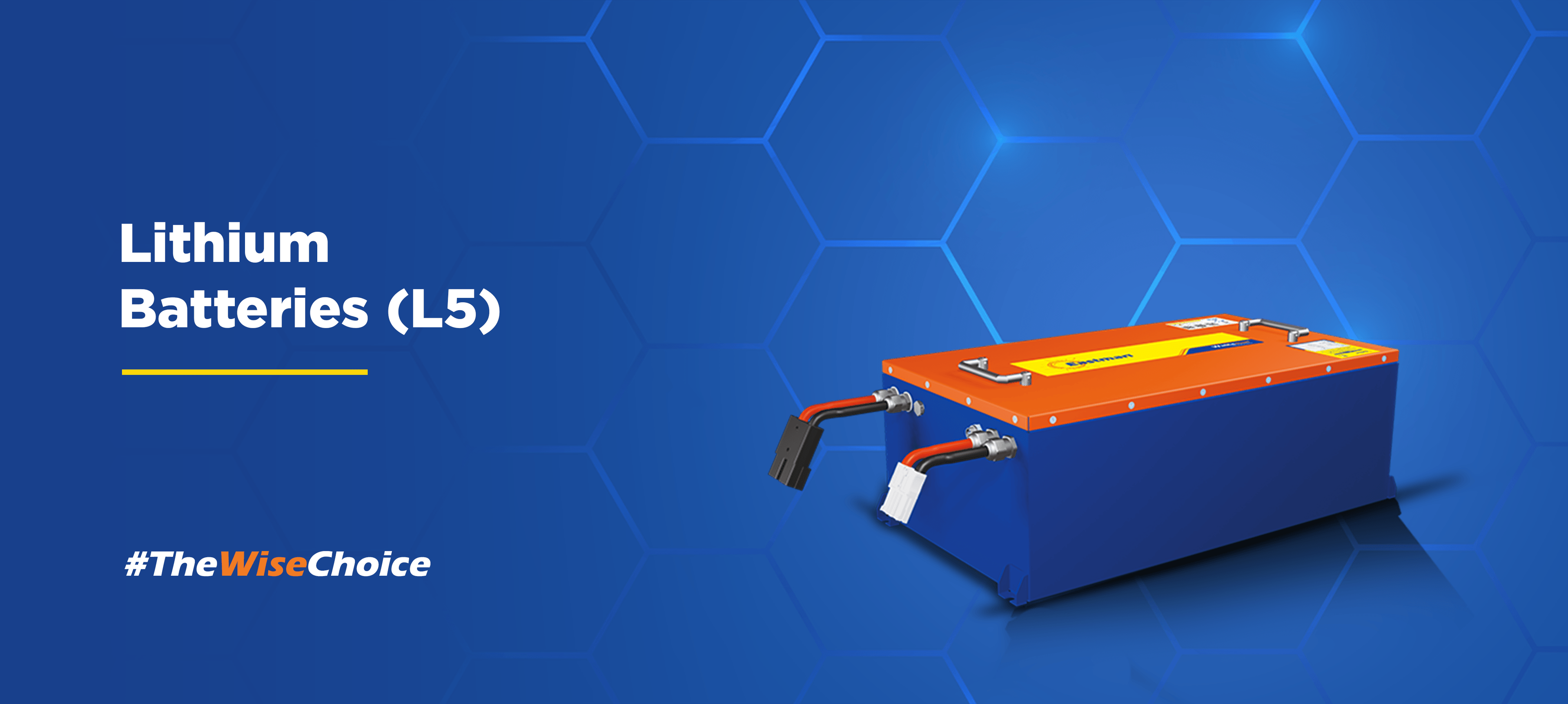 Eastman Lithium-Ion L5 Battery