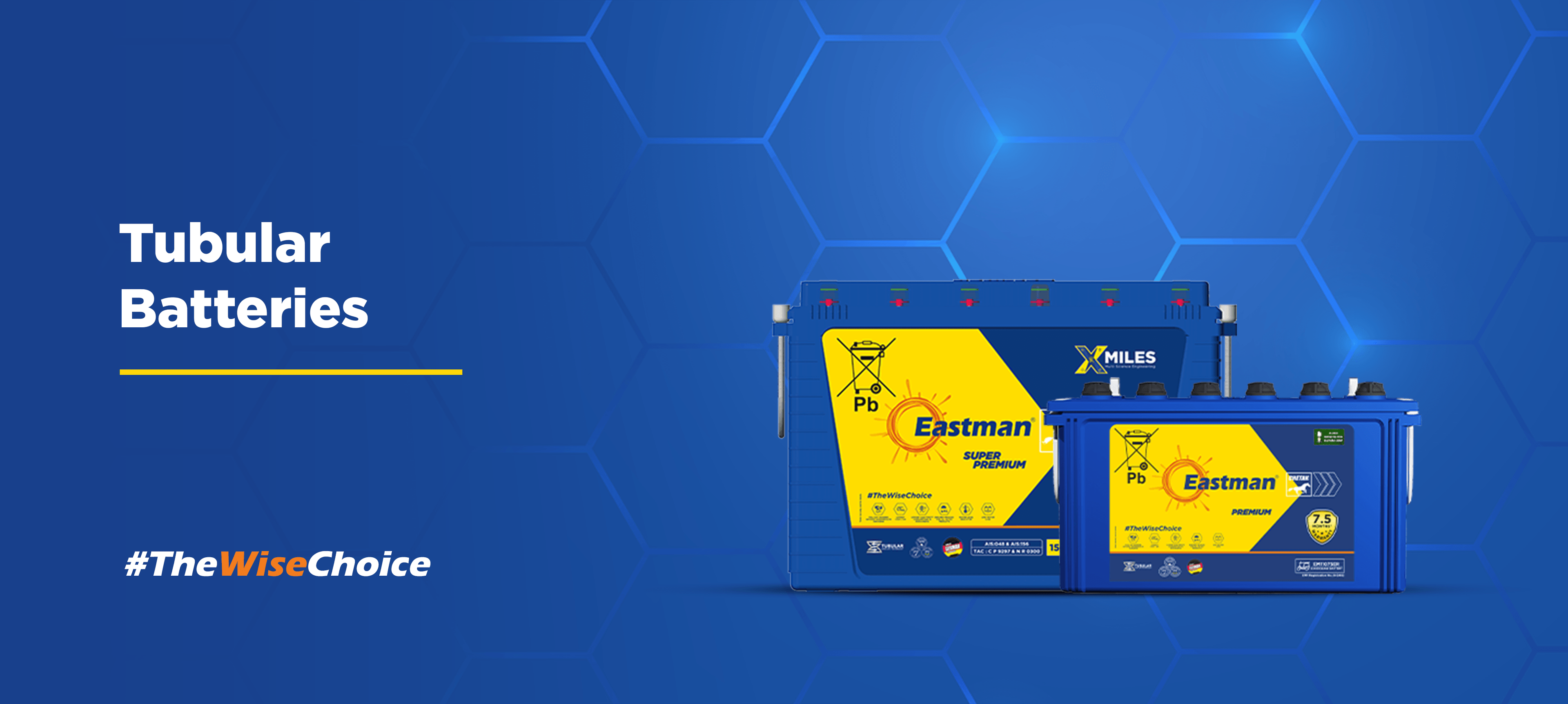 Eastman E-Rickshaw Tubular Battery